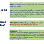 Hướng dẫn bán hàng Sendo với 8 đặc quyền của Shop+ chi tiết